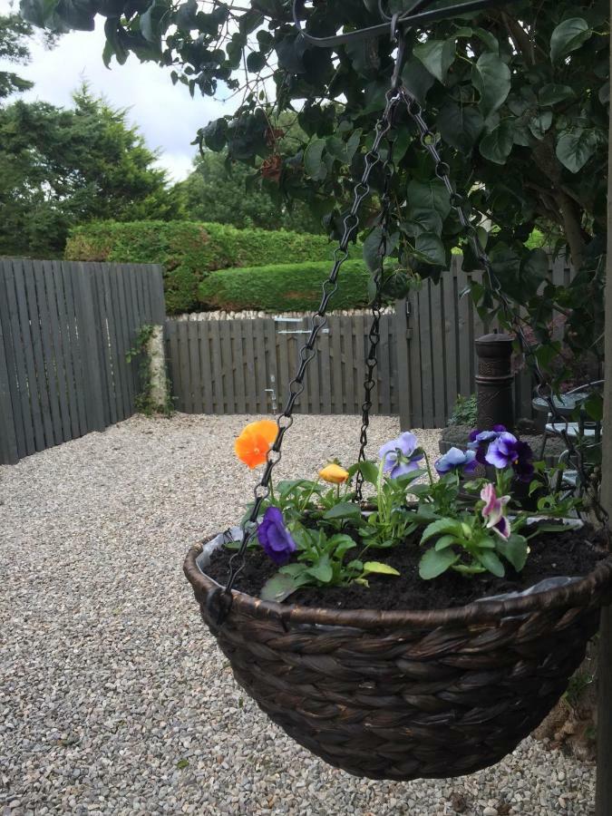 Foxy'S Den Dornoch Exterior foto